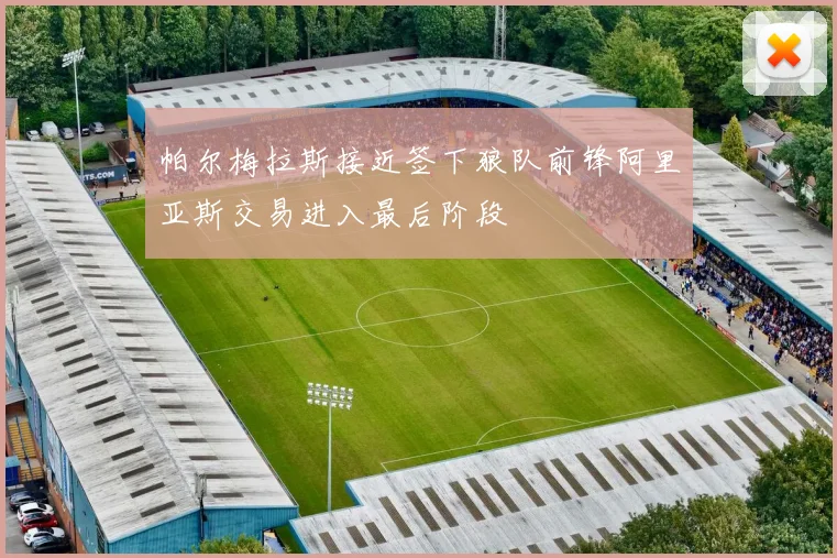 帕尔梅拉斯接近签下狼队前锋阿里亚斯交易进入最后阶段